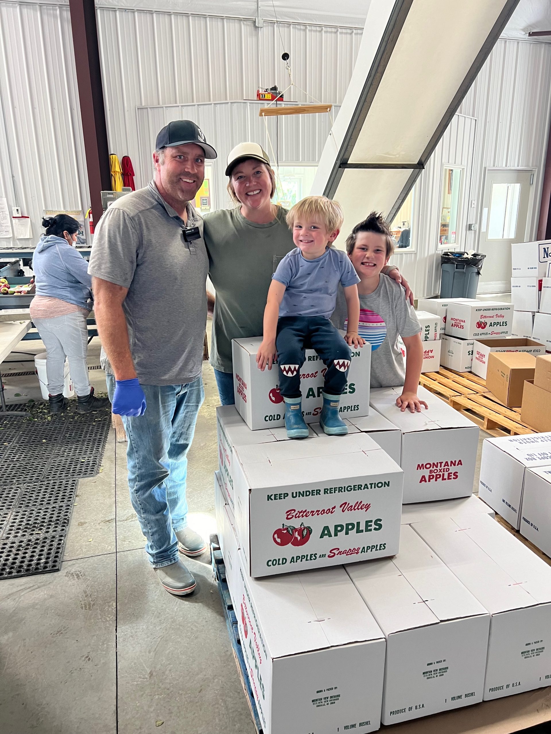 Family in the Swanson's Mountain View Orchard packing shed, boy sitting on cardboard boxes of apples