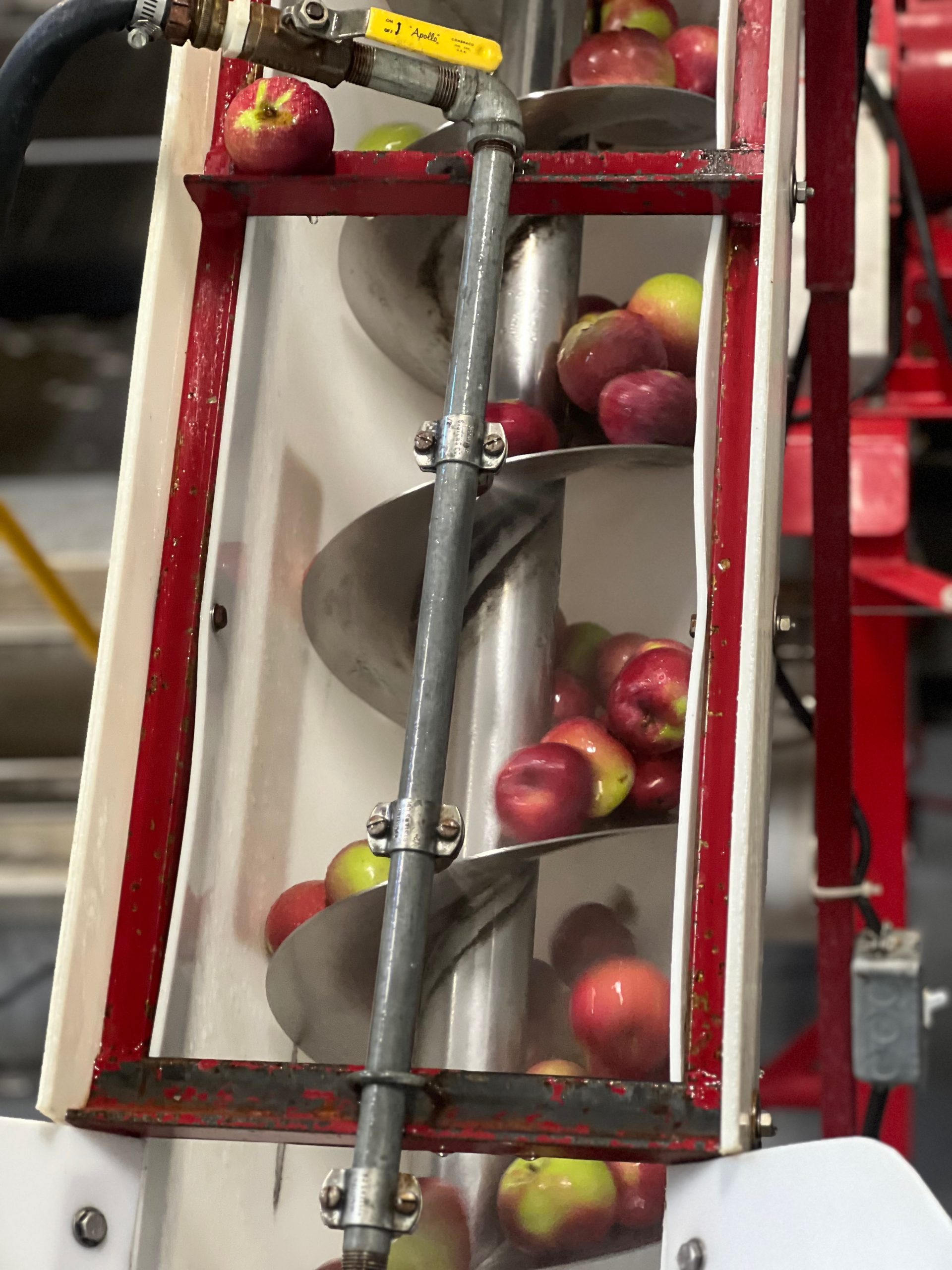 Red apples moving along the packing line at Swanson’s Mountain View Orchard