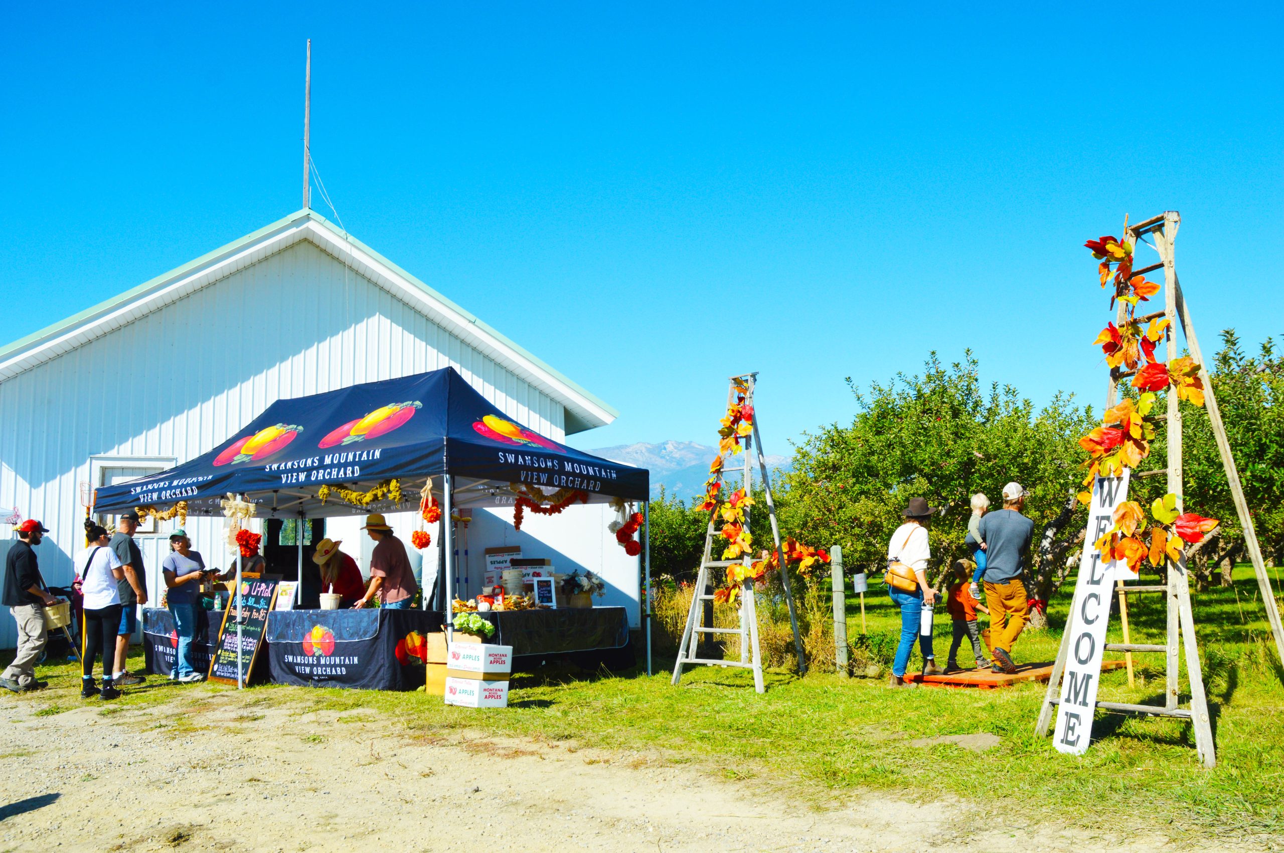 Swanson’s Mountain View Orchard U-Pick tent with customers, staff, fall decorations, and chalkboard sign in Montana