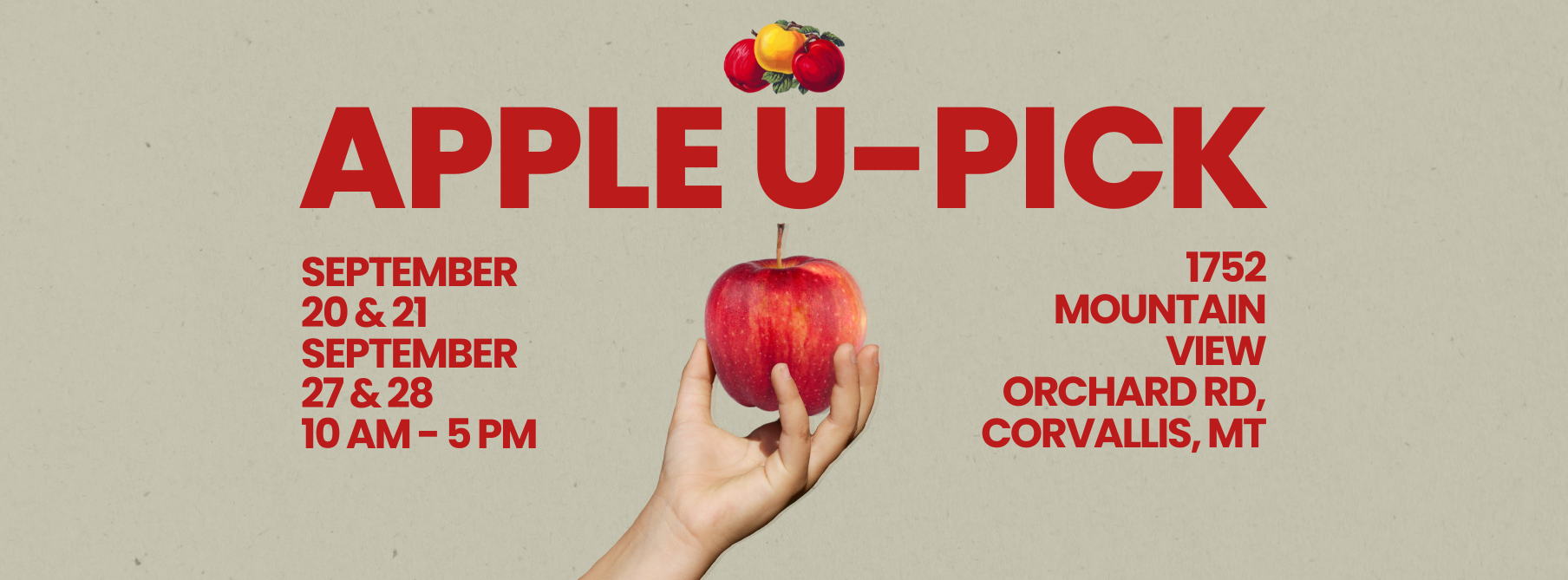 Swanson’s Mountain View Orchard U-Pick event graphic with a light green background. The Swanson’s logo with three apples is at the top, followed by bold title text reading 'Apple U-Pick.' Dates listed: September 20 & 21 and September 27 & 28, from 10 AM to 5 PM. Location: 1752 Mountain View Orchard Rd, Corvallis, MT. Centered in the design is a hand holding a red apple.